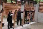 IMG-1008